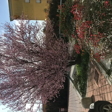 Lägenhet Casa Silvia Mantova